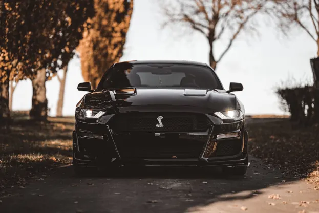 Ripper Casino Aplicación Android/iOS